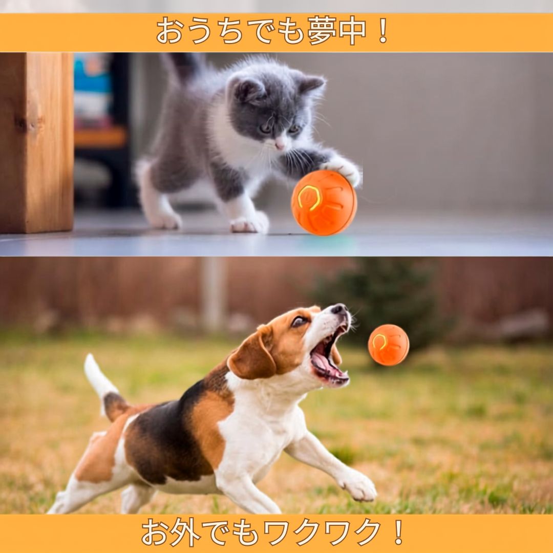 くるコロボール｜わんにゃん夢中の自動おもちゃ